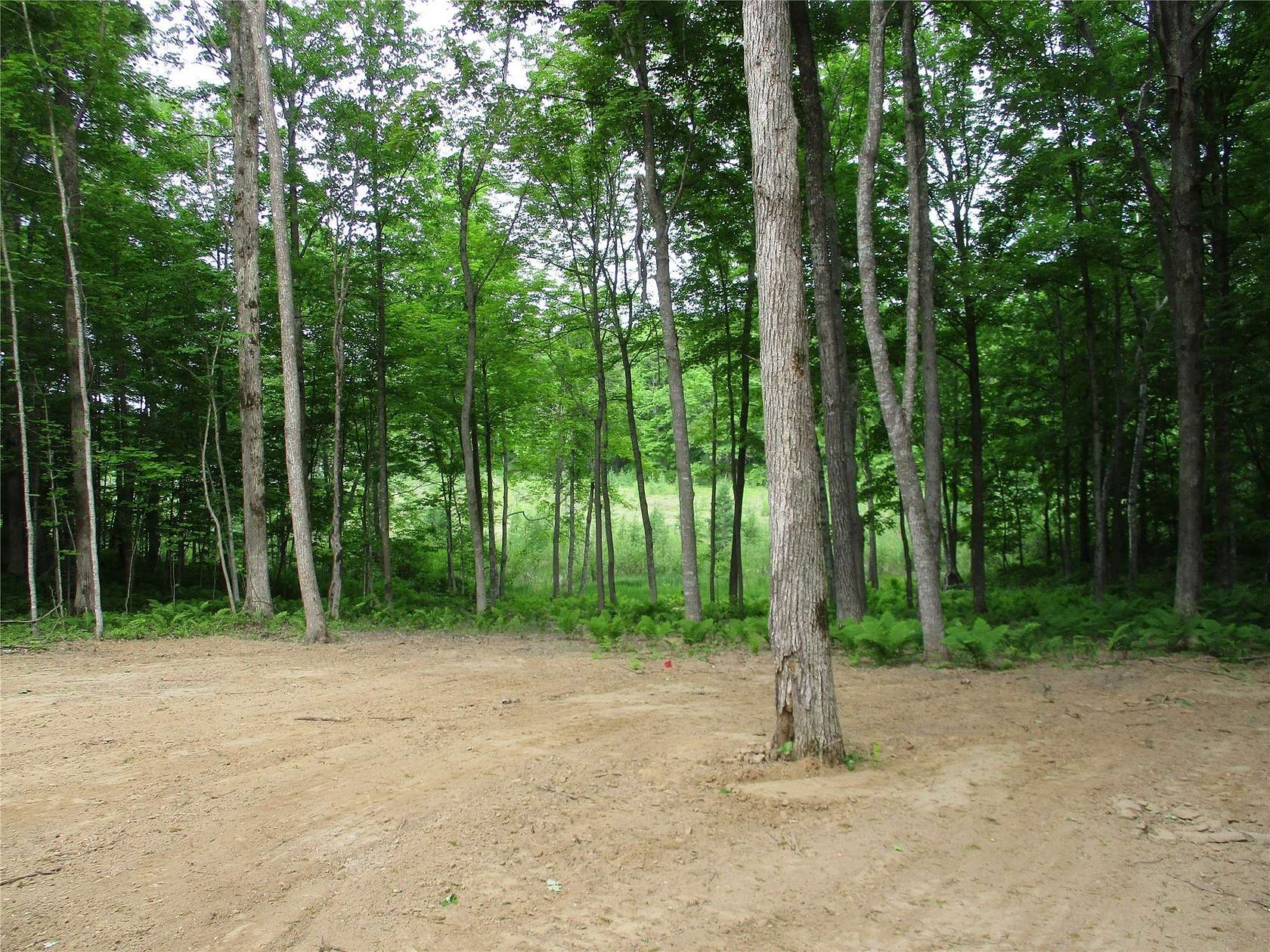 1 Acre of Residential Land for Sale in Birchwood, Wisconsin