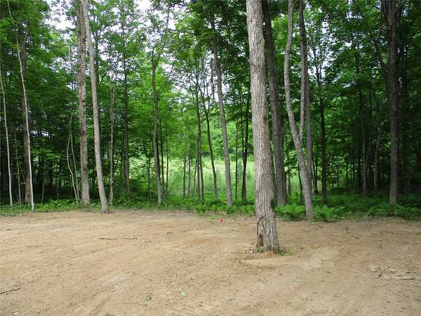 1 Acre of Residential Land for Sale in Birchwood, Wisconsin