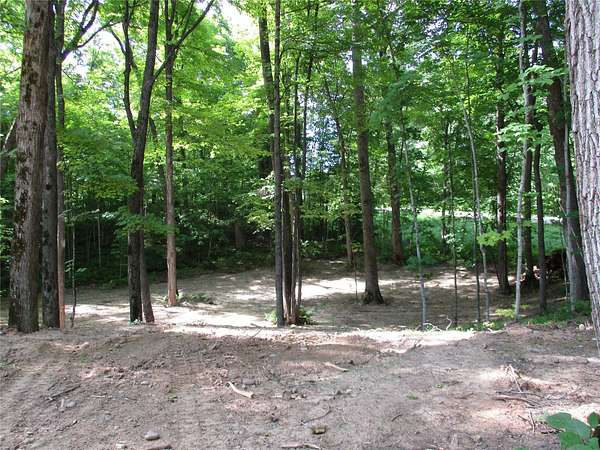 0.68 Acres of Residential Land for Sale in Birchwood, Wisconsin