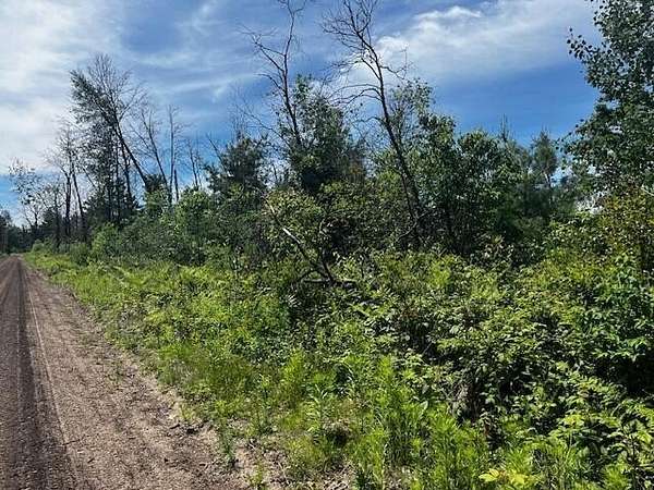 3.76 Acres of Land for Sale in Idlewild, Michigan