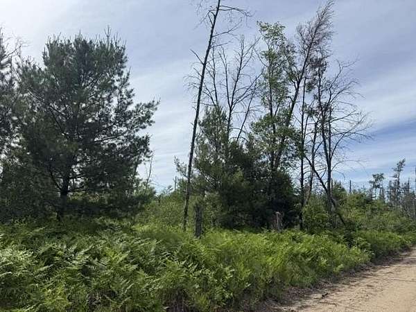 3.76 Acres of Land for Sale in Idlewild, Michigan