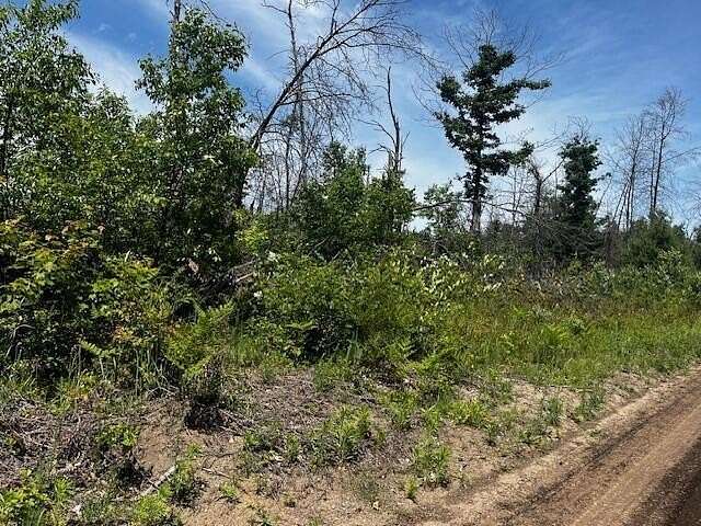 3.76 Acres of Land for Sale in Idlewild, Michigan