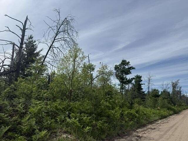 3.76 Acres of Land for Sale in Idlewild, Michigan