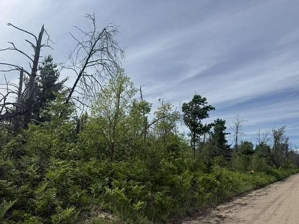 3.76 Acres of Land for Sale in Idlewild, Michigan