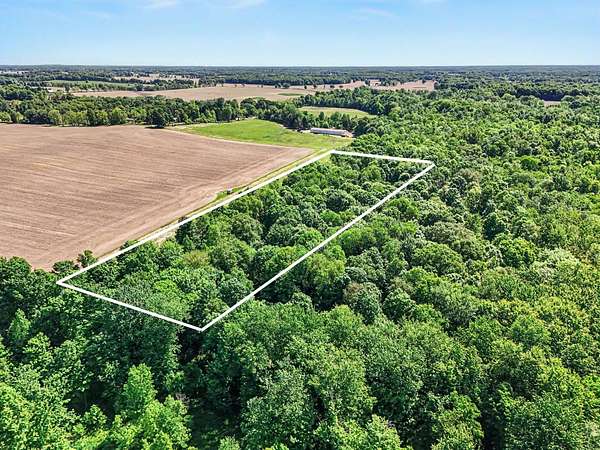 17.5 Acres of Recreational & Residential Land for Sale in Fulton, Michigan