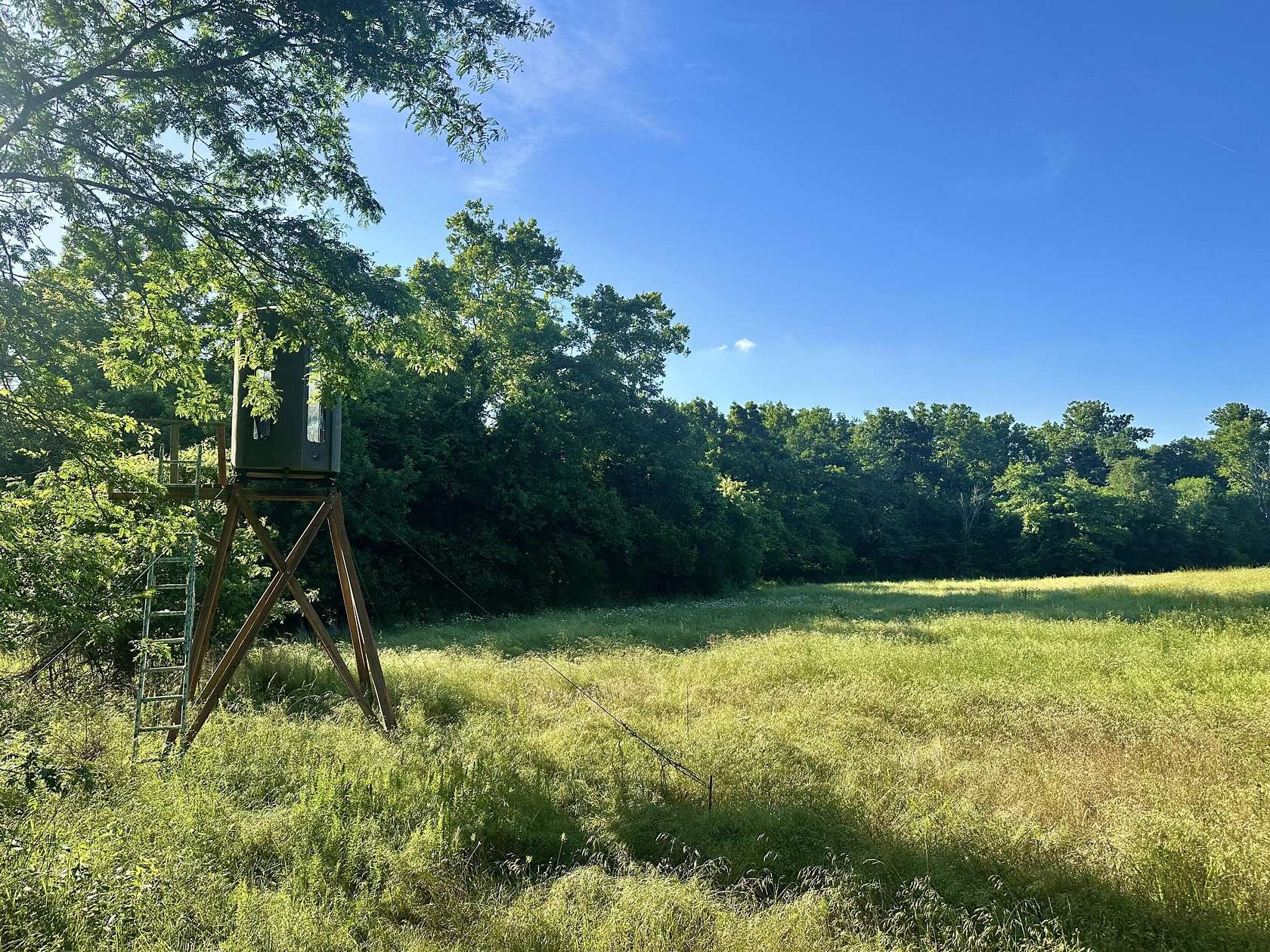 109 Acres of Recreational & Residential Land for Sale in Wheatland, Missouri