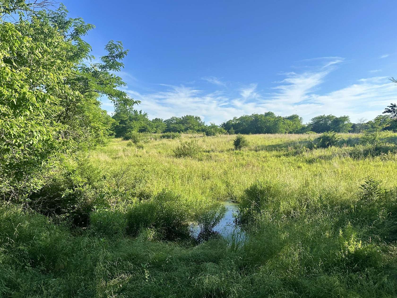 181 Acres of Recreational & Residential Land for Sale in Wheatland, Missouri