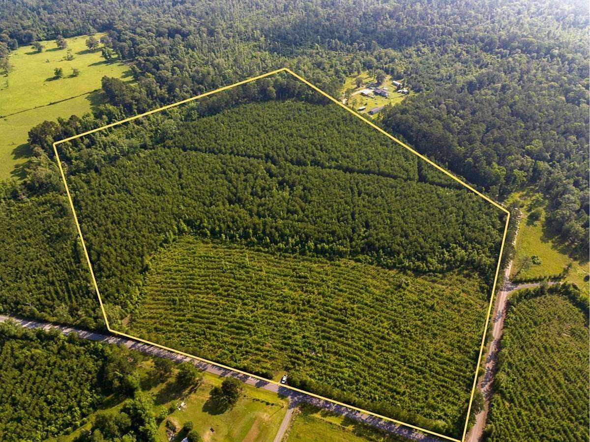 41 Acres of Recreational Land for Sale in Pitkin, Louisiana