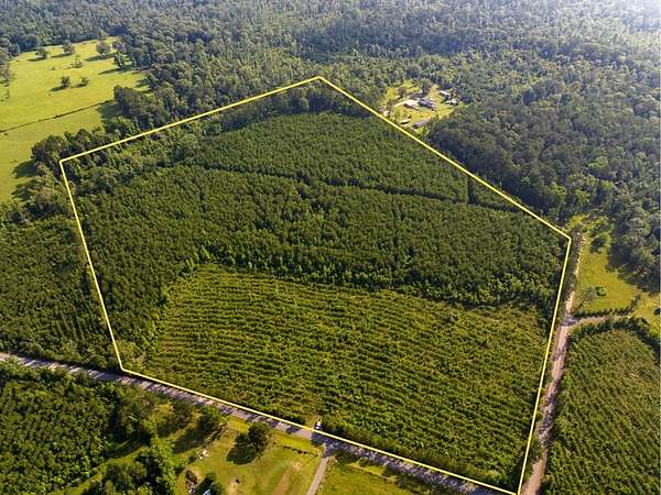 41 Acres of Recreational Land for Sale in Pitkin, Louisiana