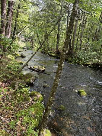 1.7 Acres of Residential Land for Sale in Harrison, Maine