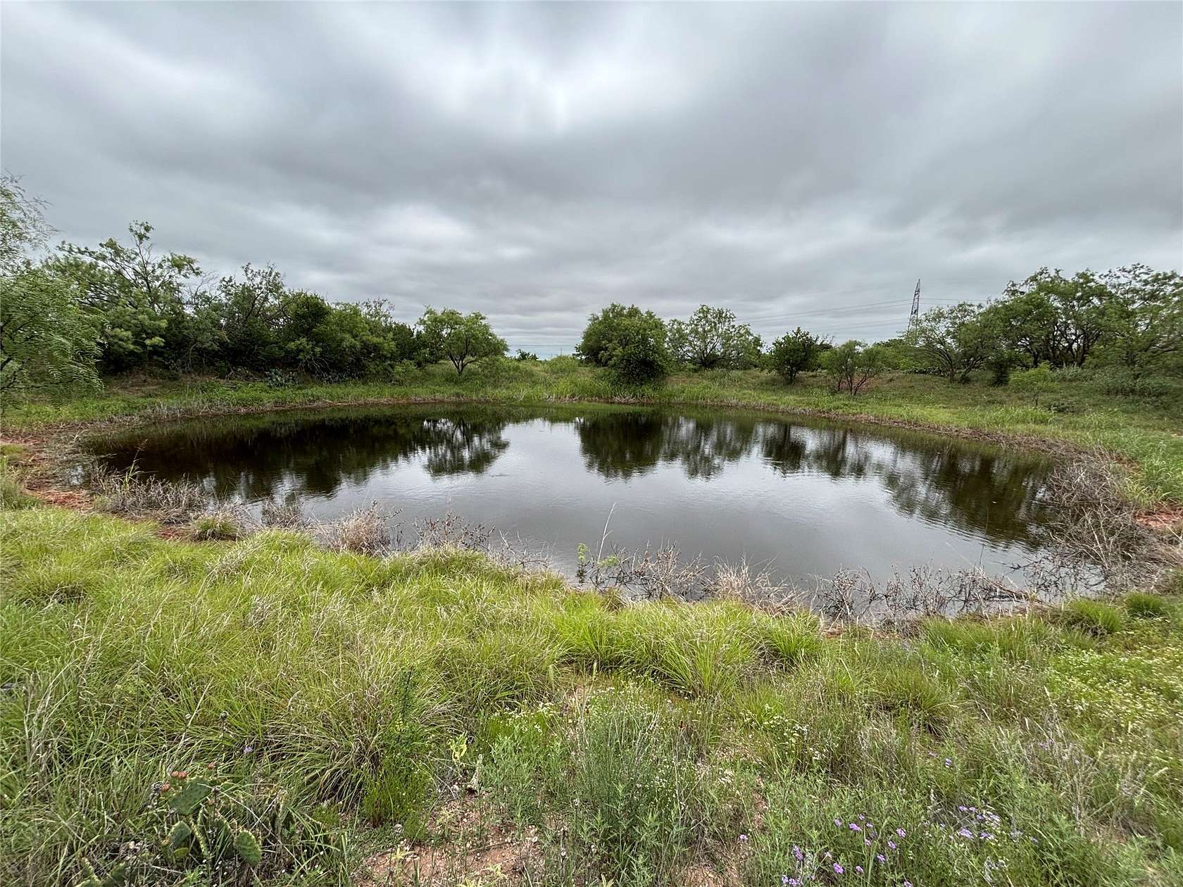 63.8 Acres of Land with Home for Sale in Winters, Texas