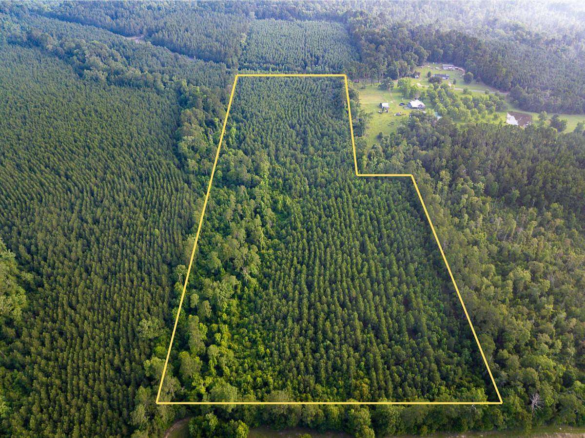 25 Acres of Recreational Land for Sale in Pitkin, Louisiana