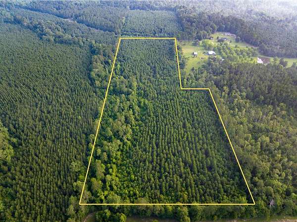 25 Acres of Recreational Land for Sale in Pitkin, Louisiana