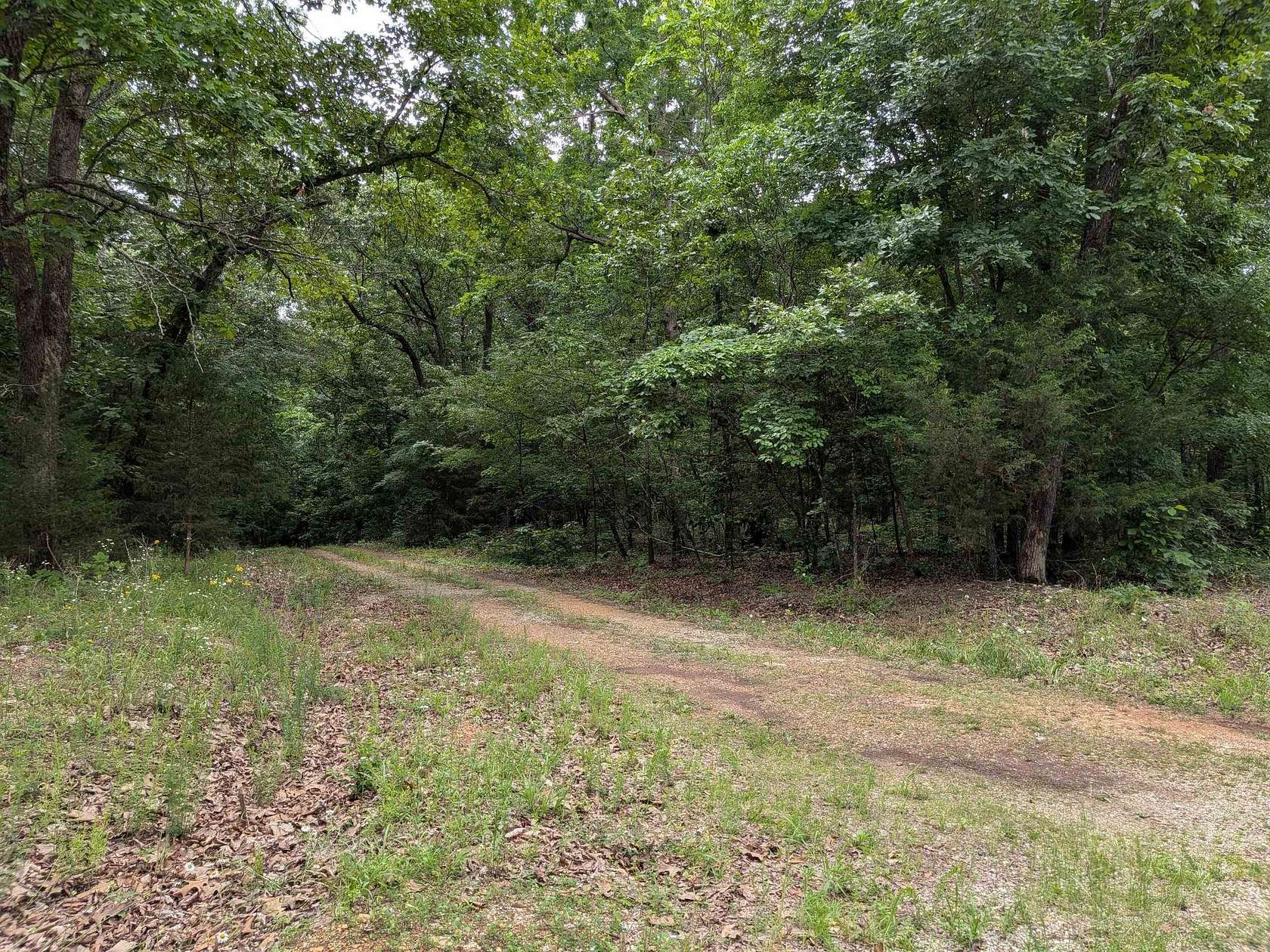 0.3 Acres of Residential Land for Sale in Ozark Acres, Arkansas
