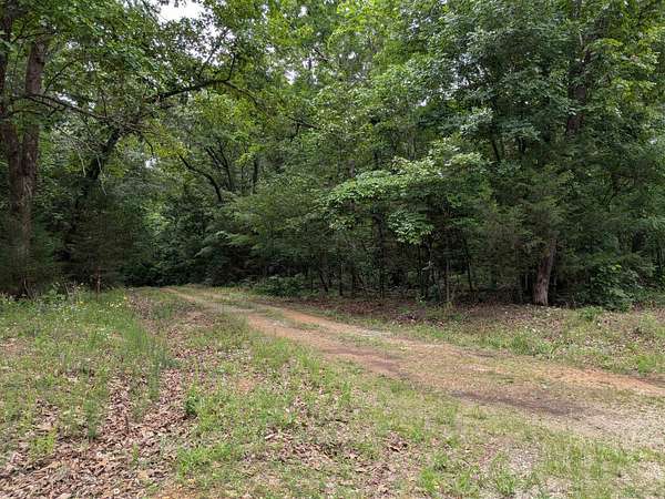 0.3 Acres of Residential Land for Sale in Ozark Acres, Arkansas