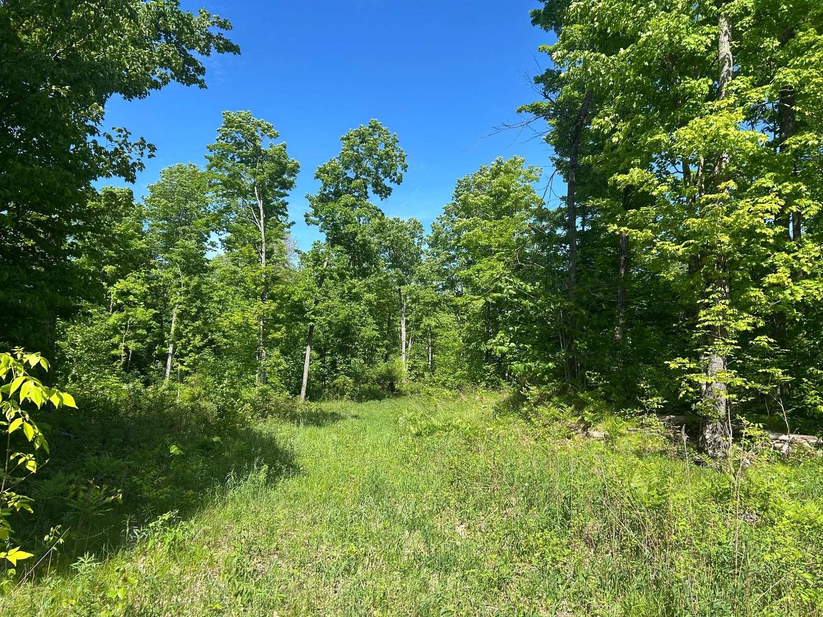 5.13 Acres of Land for Sale in Pelican Lake, Wisconsin