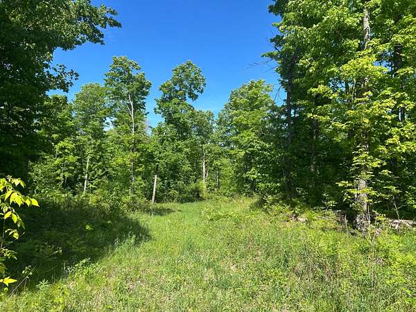 5.13 Acres of Land for Sale in Pelican Lake, Wisconsin
