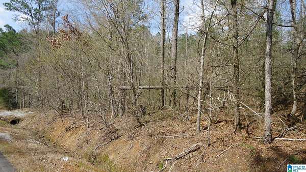 22 Acres of Recreational Land for Sale in Ohatchee, Alabama