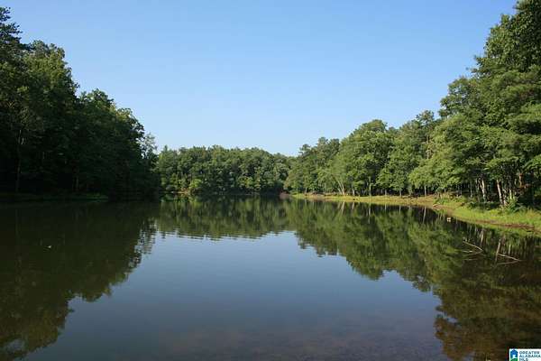 21.7 Acres of Land for Sale in Westover, Alabama
