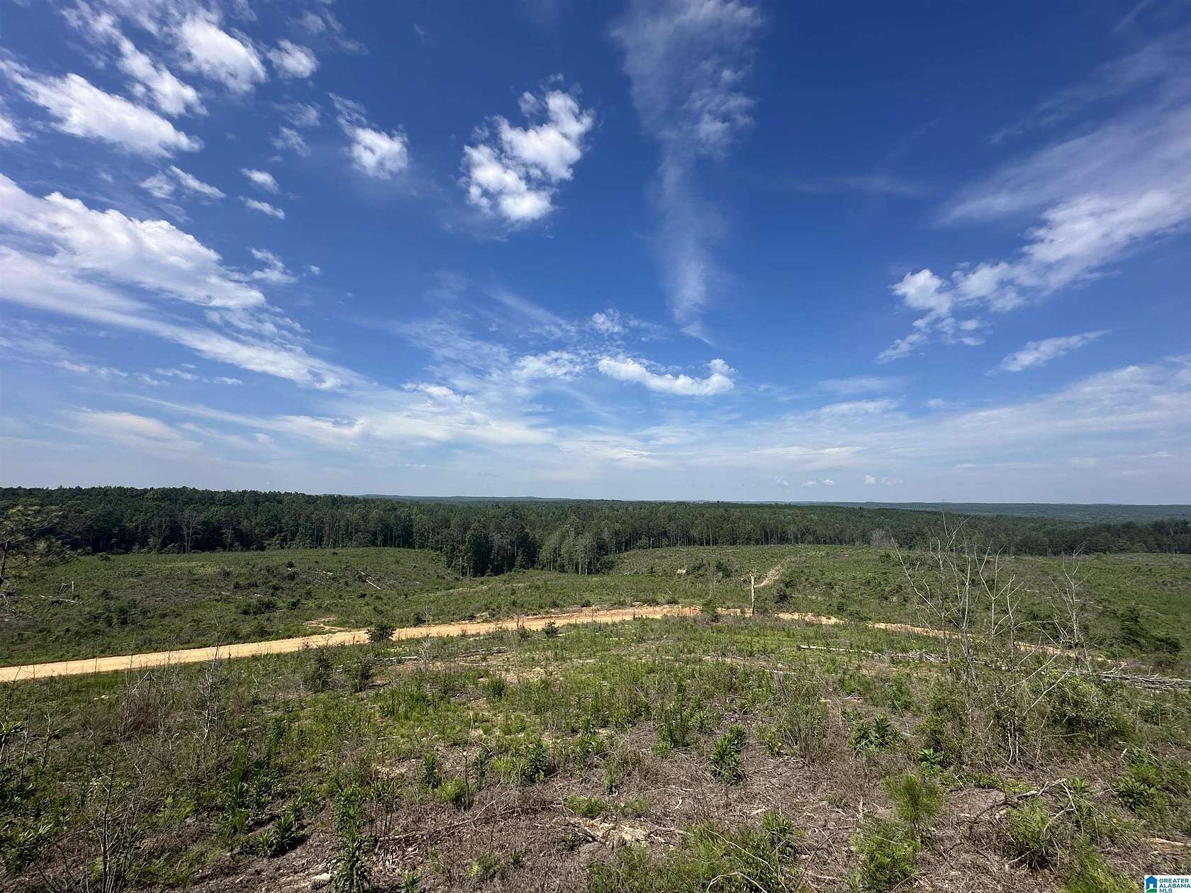 180 Acres of Agricultural Land for Sale in Maplesville, Alabama