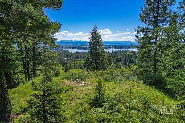 21.9 Acres of Recreational & Residential Land for Sale in Donnelly, Idaho