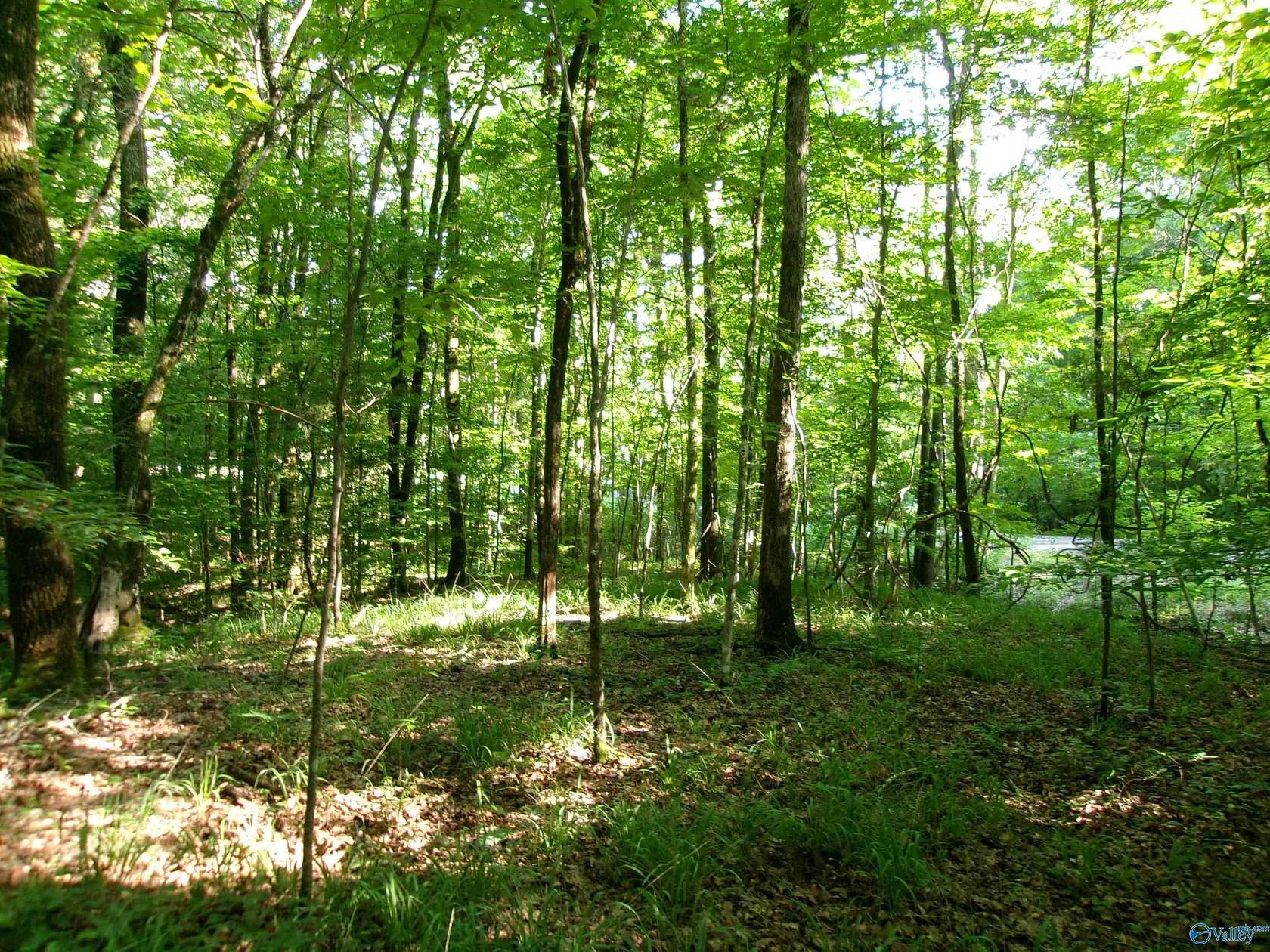 13.4 Acres of Land for Sale in Scottsboro, Alabama
