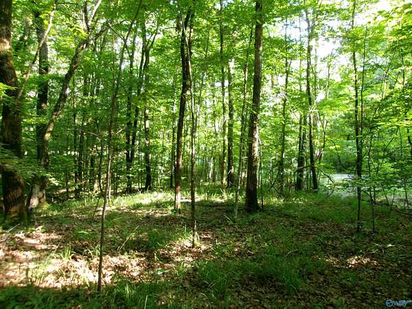 13.4 Acres of Land for Sale in Scottsboro, Alabama