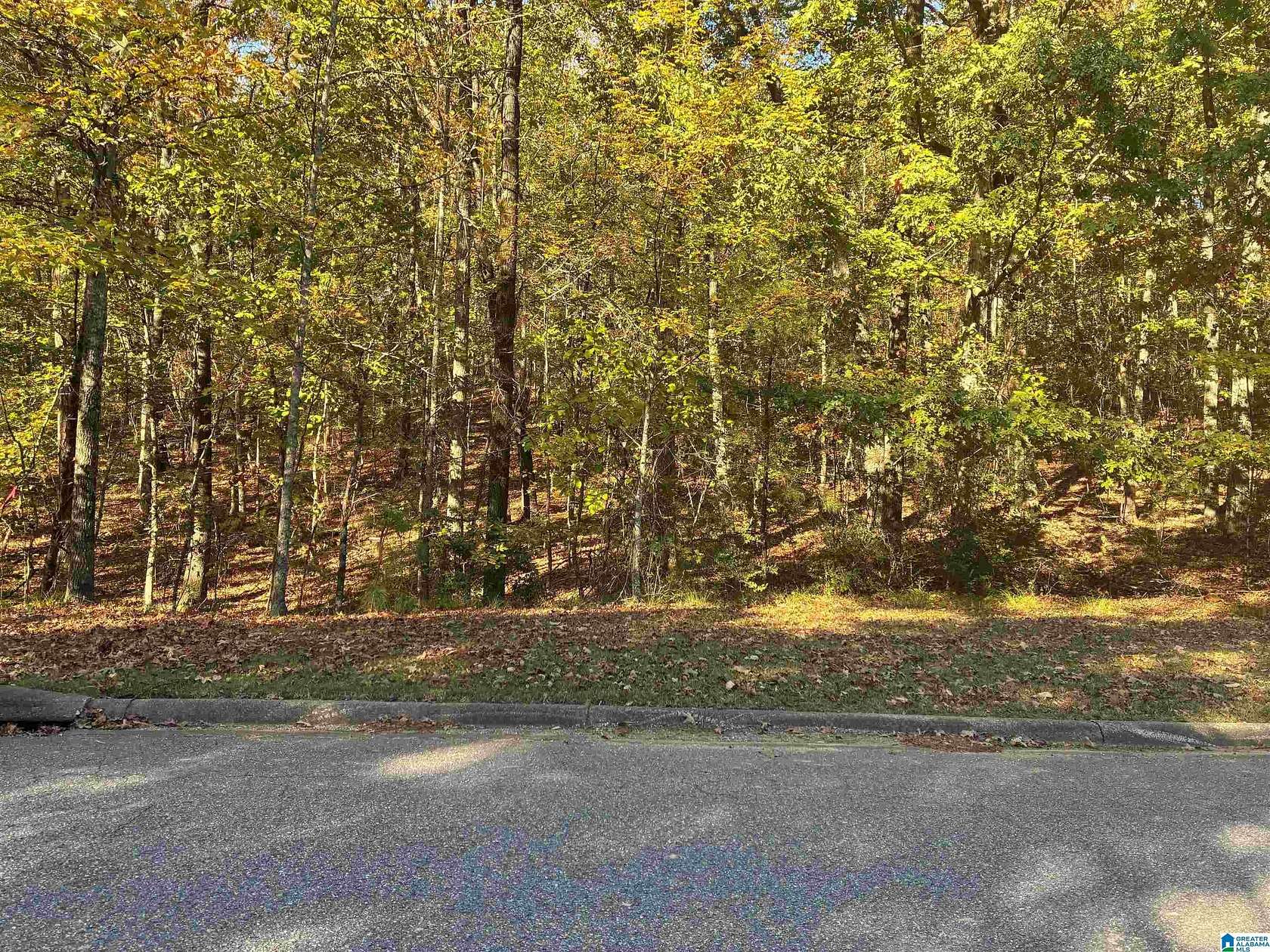 1.2 Acres of Land for Sale in Birmingham, Alabama