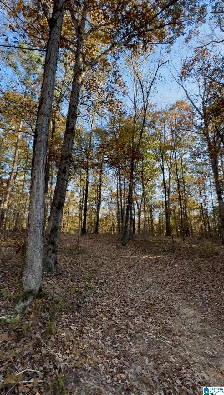 110 Acres of Land for Sale in McCalla, Alabama