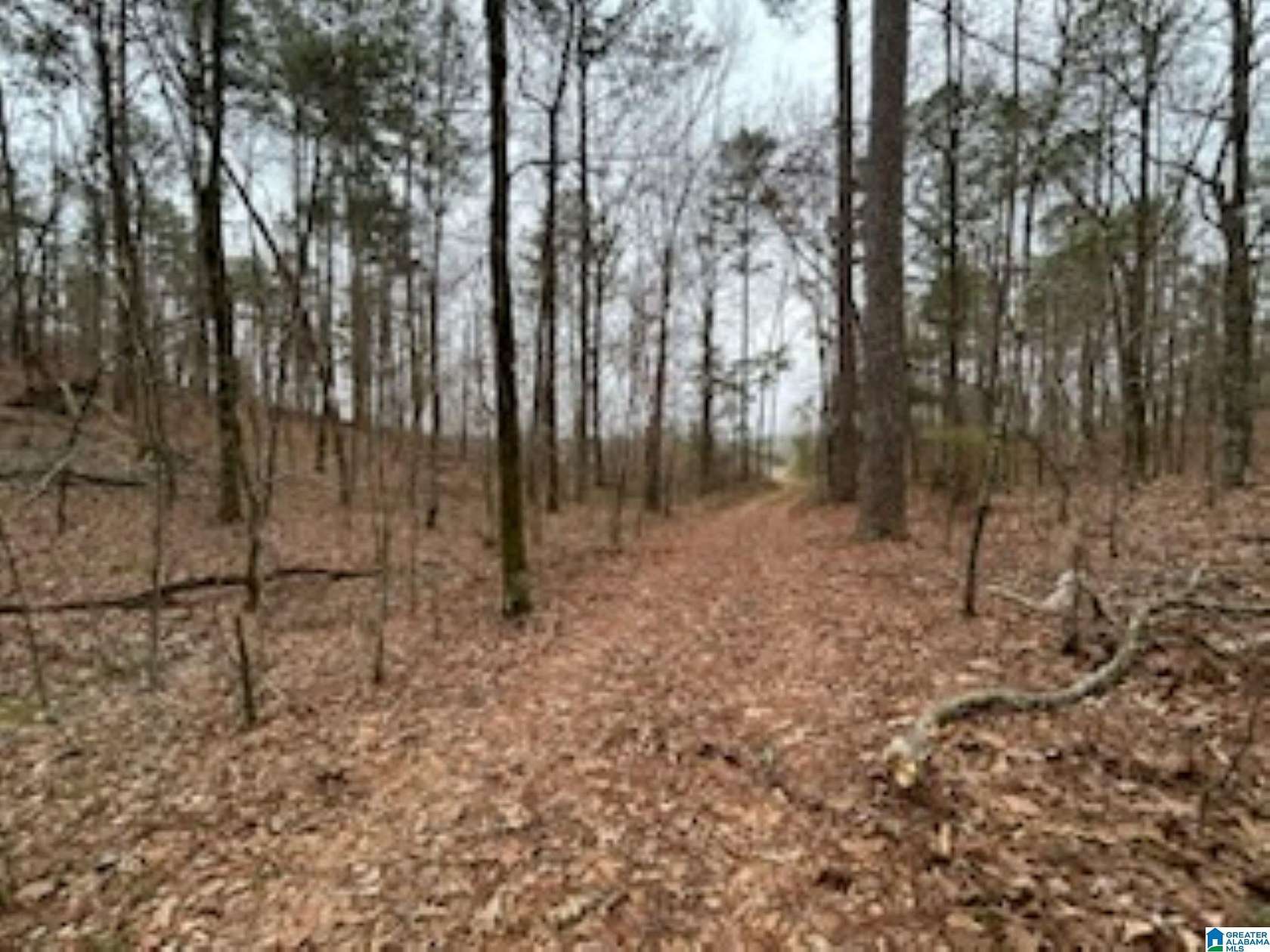 6.5 Acres of Residential Land for Sale in Wilsonville, Alabama