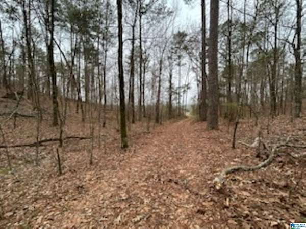 6.5 Acres of Residential Land for Sale in Wilsonville, Alabama