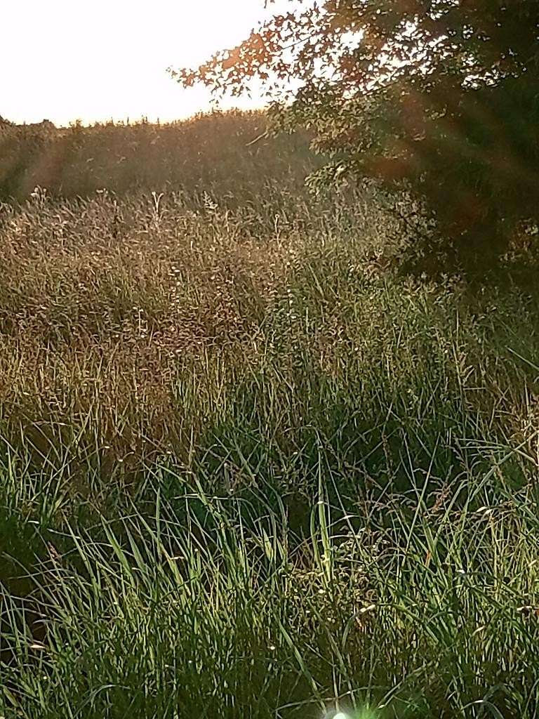 1.36 Acres of Residential Land for Sale in McMinnville, Tennessee