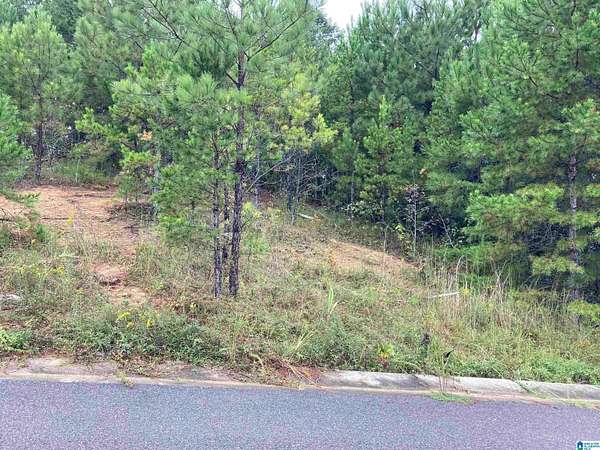 3 Acres of Residential Land for Sale in Birmingham, Alabama