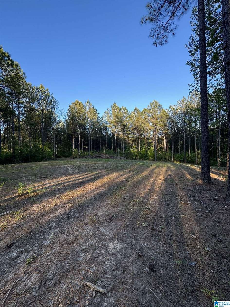 24.4 Acres of Land for Sale in Westover, Alabama