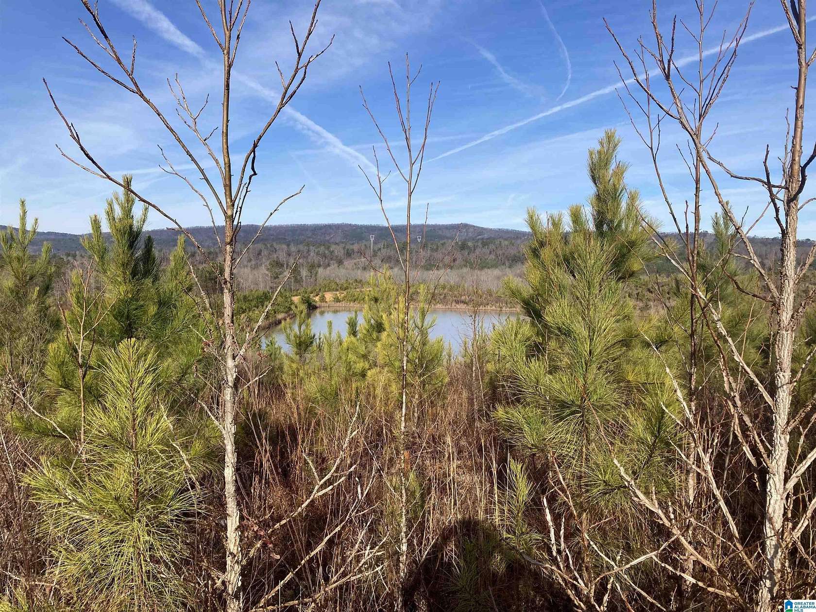 20 Acres of Land for Sale in Westover, Alabama