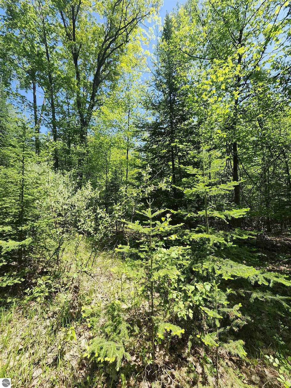 14 Acres of Land for Sale in Lupton, Michigan