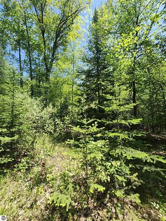14 Acres of Land for Sale in Lupton, Michigan