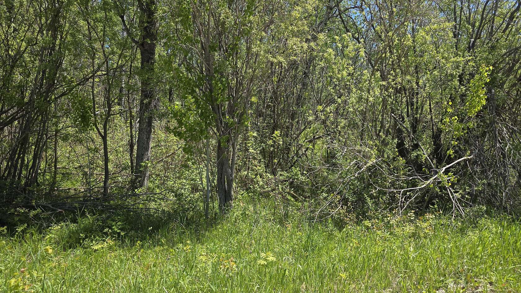 3 Acres of Land for Sale in Levering, Michigan