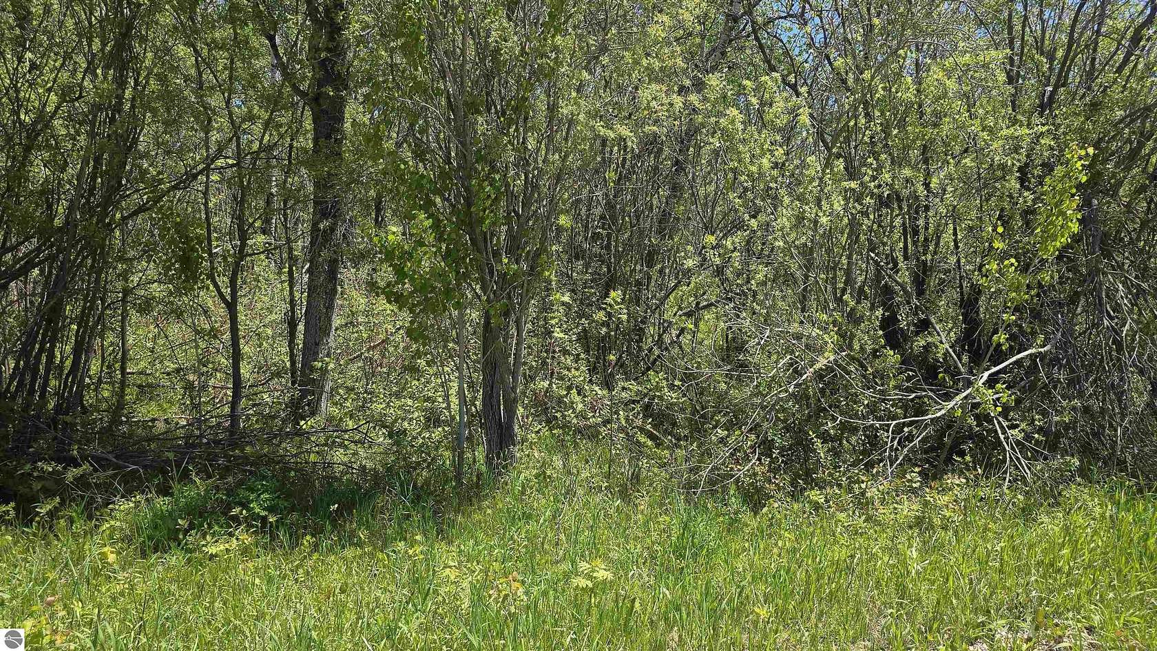 3 Acres of Land for Sale in Levering, Michigan