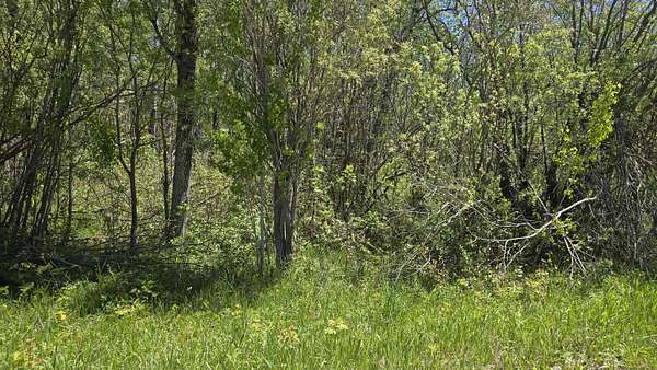 3 Acres of Land for Sale in Levering, Michigan