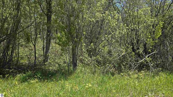 3 Acres of Land for Sale in Levering, Michigan