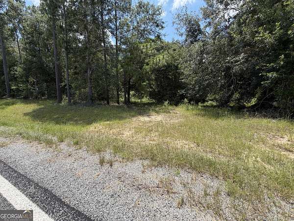 2.8 Acres of Residential Land for Sale in Eastman, Georgia