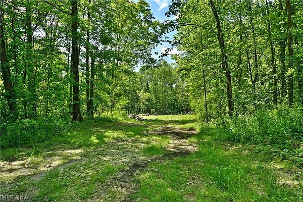 2.19 Acres of Residential Land for Sale in Bristolville, Ohio