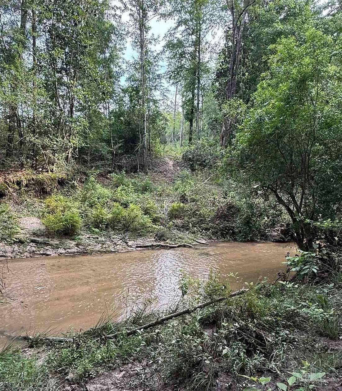 202 Acres of Recreational & Residential Land for Sale in Jay, Florida