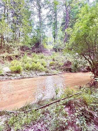 202 Acres of Recreational & Residential Land for Sale in Jay, Florida