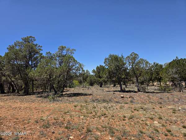 0.6 Acres of Residential Land for Sale in Overgaard, Arizona