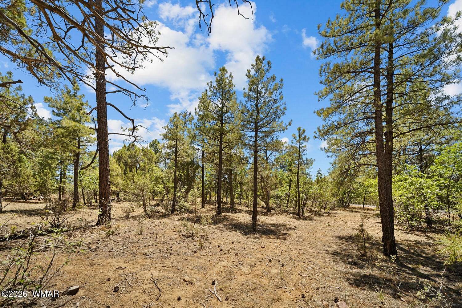 0.7 Acres of Residential Land for Sale in Show Low, Arizona