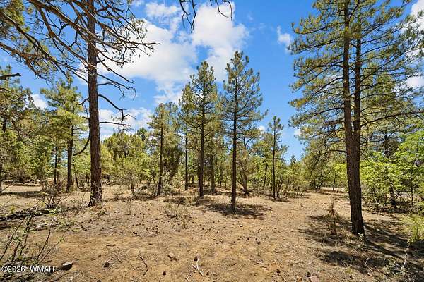 0.7 Acres of Residential Land for Sale in Show Low, Arizona