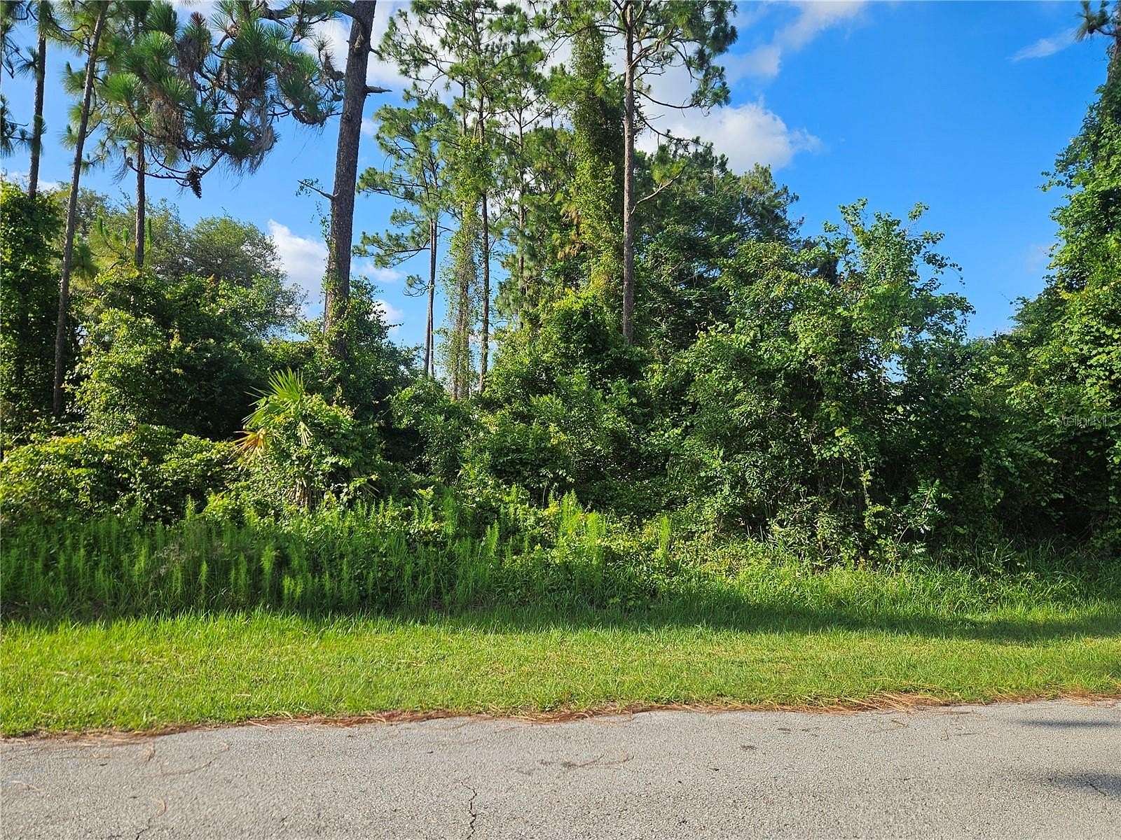 0.25 Acres of Residential Land for Sale in Deltona, Florida