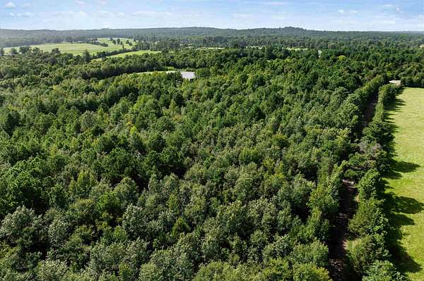 44 Acres of Land for Sale in Henderson, Texas
